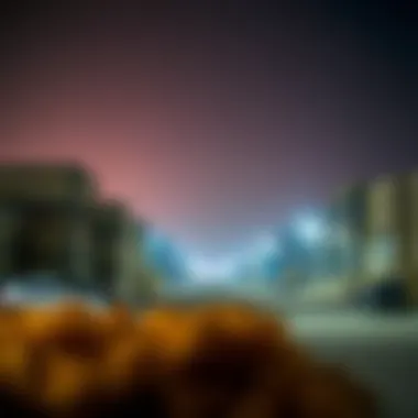 Magnificent Exploring Ras Al Khor: The Foundation of Dubai's Building Materials Market Magnificent Exploring Ras Al Khor: The Foundation of Dubai's Building Materials Market