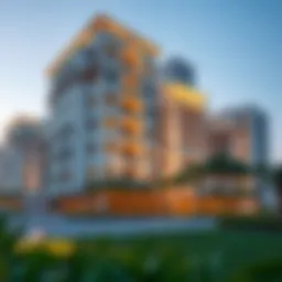 A Comprehensive Assessment of Ark Vision International in the Dubai Real Estate Market Introduction