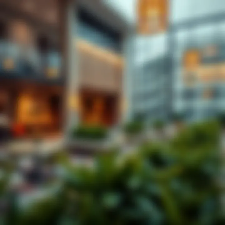 Amenities and facilities within the International City community