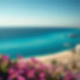 A stunning view of Al Raha Beach showcasing its pristine shoreline and azure waters