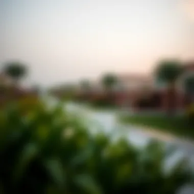 Community Amenities in Al Thuriah Community amenities in Al Thuriah including parks and recreational spaces