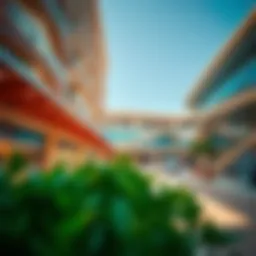 Architectural design of Anwar Mall showcasing modern aesthetics