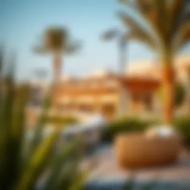 Community amenities surrounding Avani Palm View