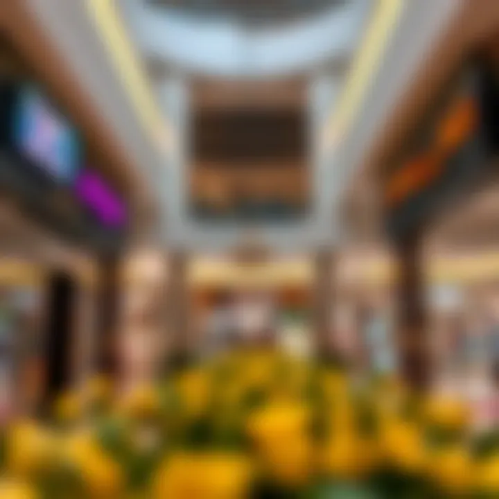 Interior view of retail spaces at Barari Mall filled with diverse shops