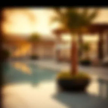 Luxurious amenities available in Bloom Living