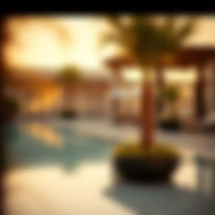 Luxurious amenities available in Bloom Living