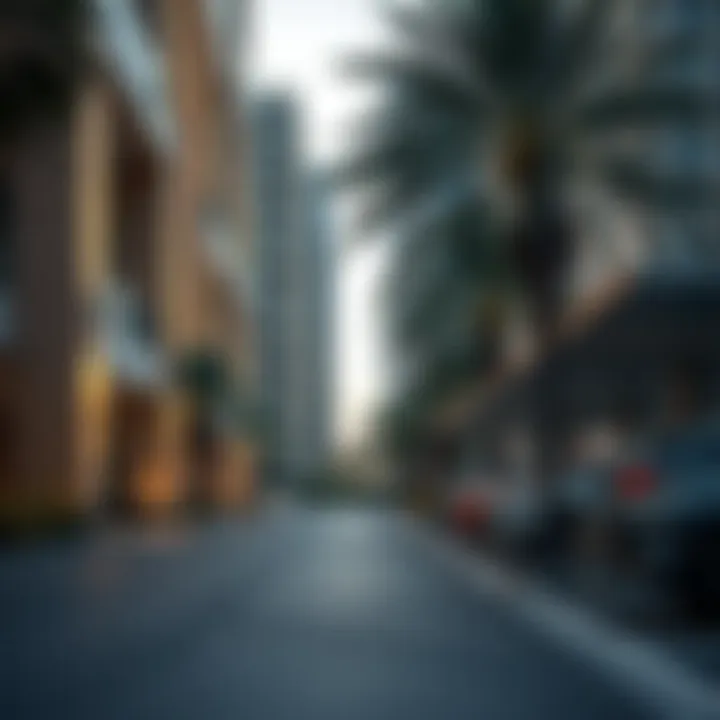 Accessibility Features of Burj Park Parking