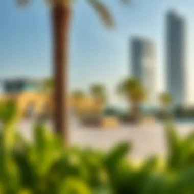 Community Amenities of DEC Towers Community amenities at DEC Towers, highlighting recreational facilities