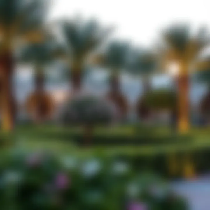 Community Parks and Recreation in تلال مردف Lush community parks and recreational areas in تلال مردف