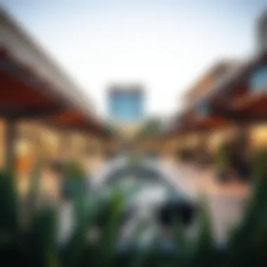 Community Spaces in Al Emad Marina Vibrant community spaces and amenities at Al Emad Marina