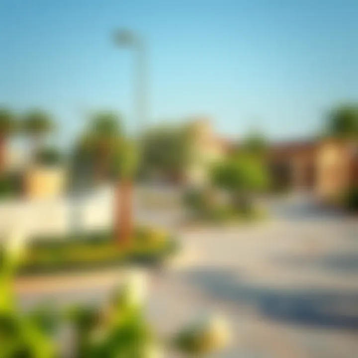 Community Park in Arabian Ranches 2 Community park within Arabian Ranches 2 illustrating family-friendly environment