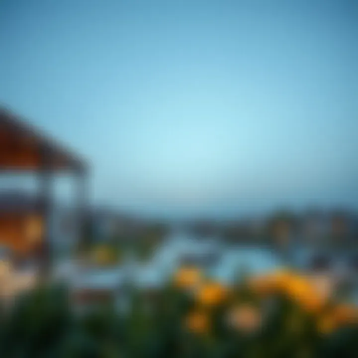 Exploring Arabian Ranches 3: Anya's Unique Offering in Dubai Real Estate Summary