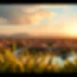 Stunning view of Arabian Ranches community landscape