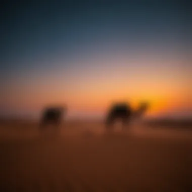 Desert Safari: Serenity at Dusk Stunning desert landscape with camels at dusk