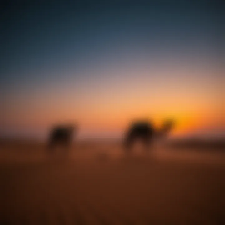 Desert Safari: Serenity at Dusk Stunning desert landscape with camels at dusk