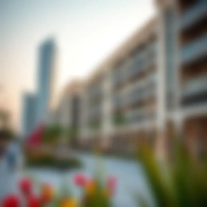 Vibrant community spaces around Emaar developments