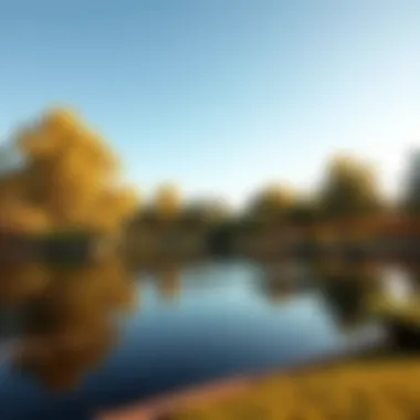 Tranquil Lake Enhancing Natural Beauty of Hills Park A serene lake surrounded by trees in Hills Park