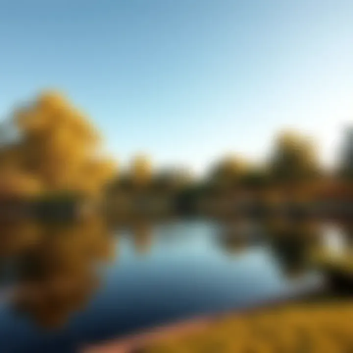 Tranquil Lake Enhancing Natural Beauty of Hills Park A serene lake surrounded by trees in Hills Park