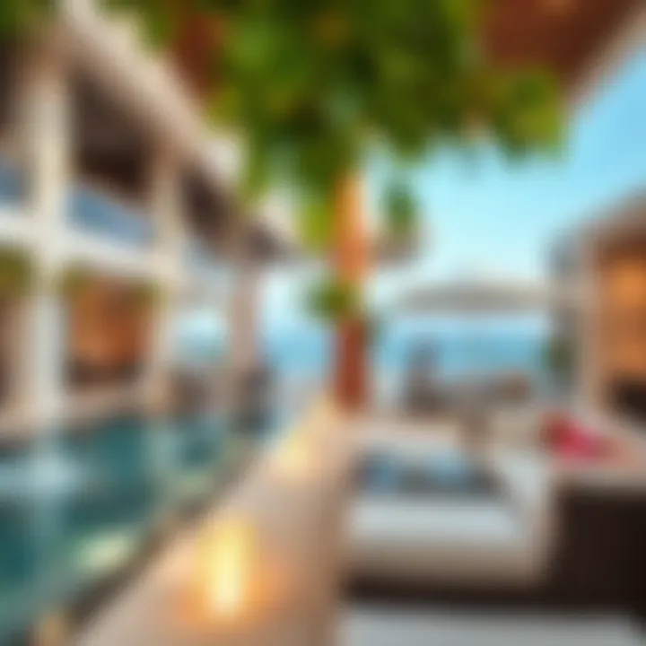 Exploring Ivy at Nikki Beach: A Comprehensive Insight Summary