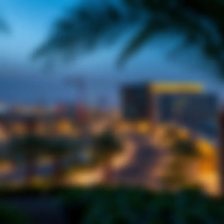 Infrastructure Developments in Jabal Ali Village Modern infrastructure and facilities in Jabal Ali Village