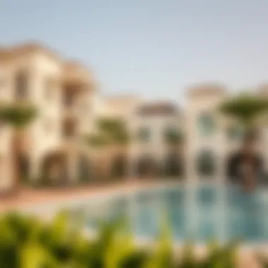 Community Amenities in Jebel Ali Gardens Community amenities in Jebel Ali Gardens