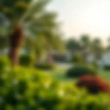 Lush Green Landscapes in Jebel Ali Gardens Lush green landscapes of Jebel Ali Gardens