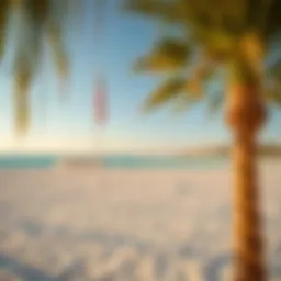 A picturesque view of La Mer Beach showcasing its pristine sands and azure waters