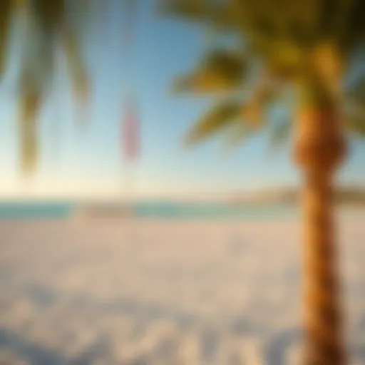 A picturesque view of La Mer Beach showcasing its pristine sands and azure waters