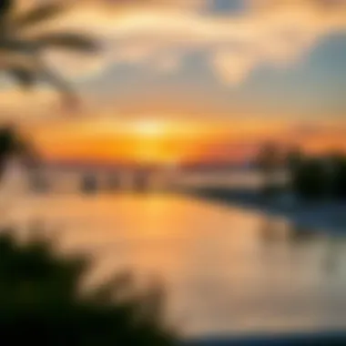 Serene Sunset Over La Mer Beach A stunning sunset view over La Mer Beach, highlighting its serene ambiance
