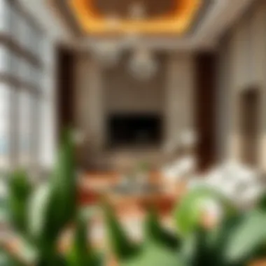 Interior Design Concept Interior design concept from Nathan and Nathan's property projects