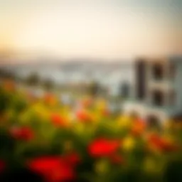 Scenic view of Al Baraha showcasing modern residential buildings