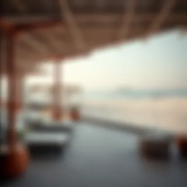 Exploring Soul Beach at Mamsha: A Comprehensive Insight Summary Exploring Soul Beach at Mamsha: A Comprehensive Insight Summary