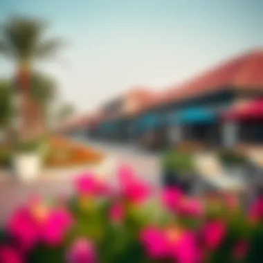 Vibrant community amenities at Tasheel Bay Avenue