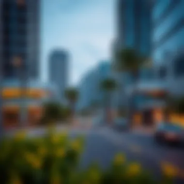 Market trends visualization for Tasheel Bay Avenue