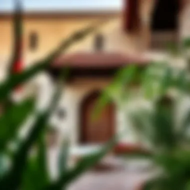 Exploring the Cultural and Traditional Heritage of the UAE Summary