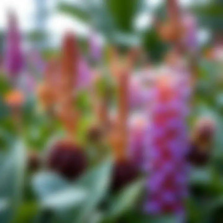 Diverse Plant Species in the Gardens Close-up of unique plant species thriving in the Gardens, highlighting biodiversity