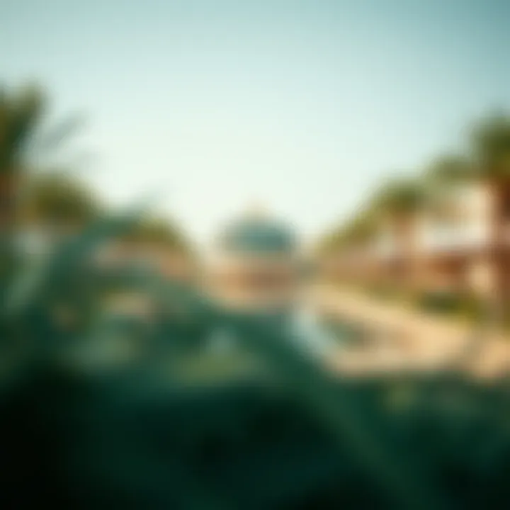 Sustainable Development Initiatives in Dubai Sustainable development initiatives in Dubai