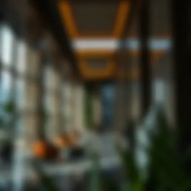 Exploring the K1 Building Rigga: A Comprehensive Insight Summary