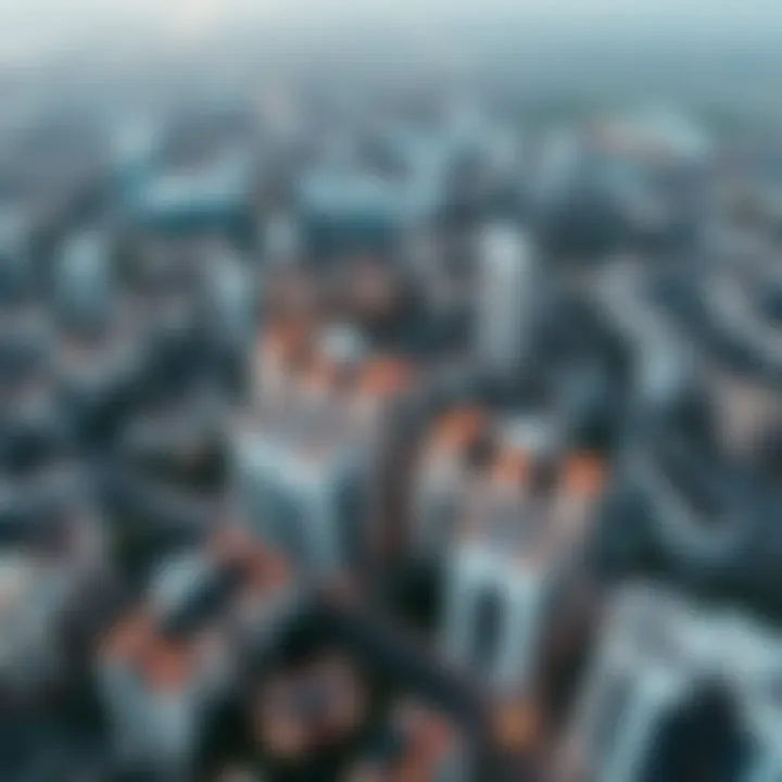 Aerial view showcasing the demographic trends in Liwan