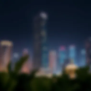 Reef Tower Investment Opportunities Investment opportunities highlighted in the Reef Tower's surrounding community