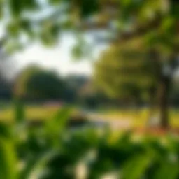 A serene park in Parkside Hills showcasing lush greenery and walking paths