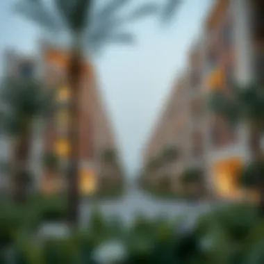 Community Integration in Mohammed Bin Zayed Community features promoting integration in the residential complex