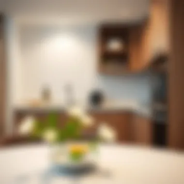 Well-equipped kitchenette in Savoy Suites