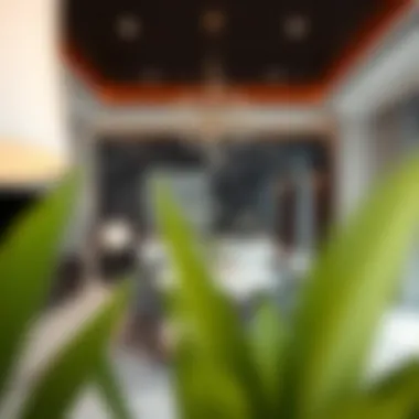 Luxurious interior design of properties in Star One Al Quoz