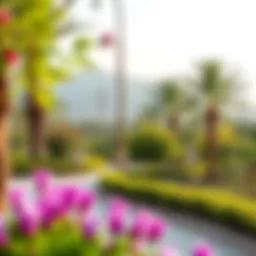 Scenic view of الريم بارك showcasing its lush greenery