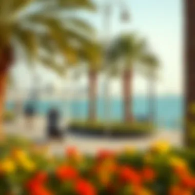Vibrant Public Spaces of the Corniche Vibrant public spaces along the Corniche with lush greenery and recreational areas