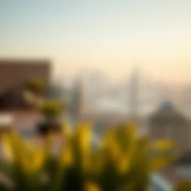 Breathtaking Views from Trussardi Residences Panoramic view of Dubai skyline from Trussardi Residences