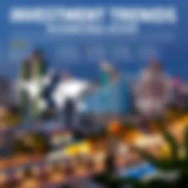 Infographic displaying investment trends and opportunities in Dubai's real estate market