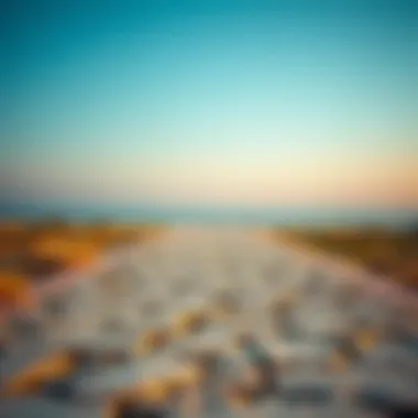 A conceptual image of two paths representing career decisions