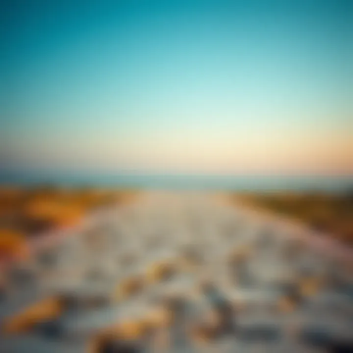 A conceptual image of two paths representing career decisions